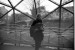 hanging_on_reduced