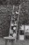 hanging_on_reduced