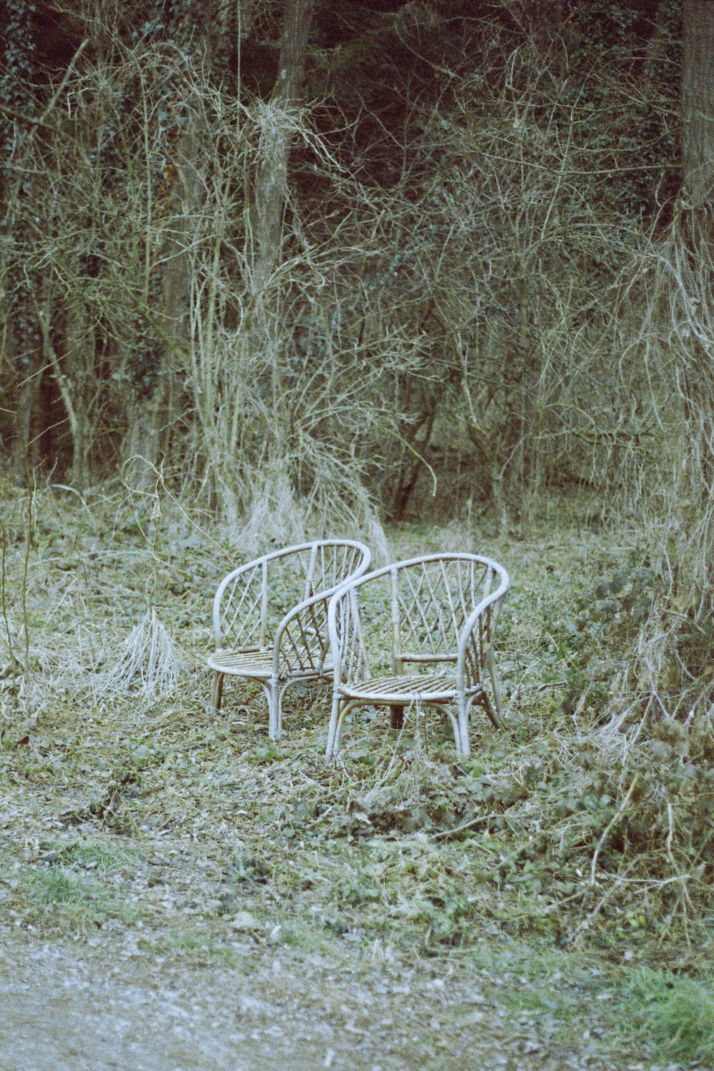 © Birgit Maier