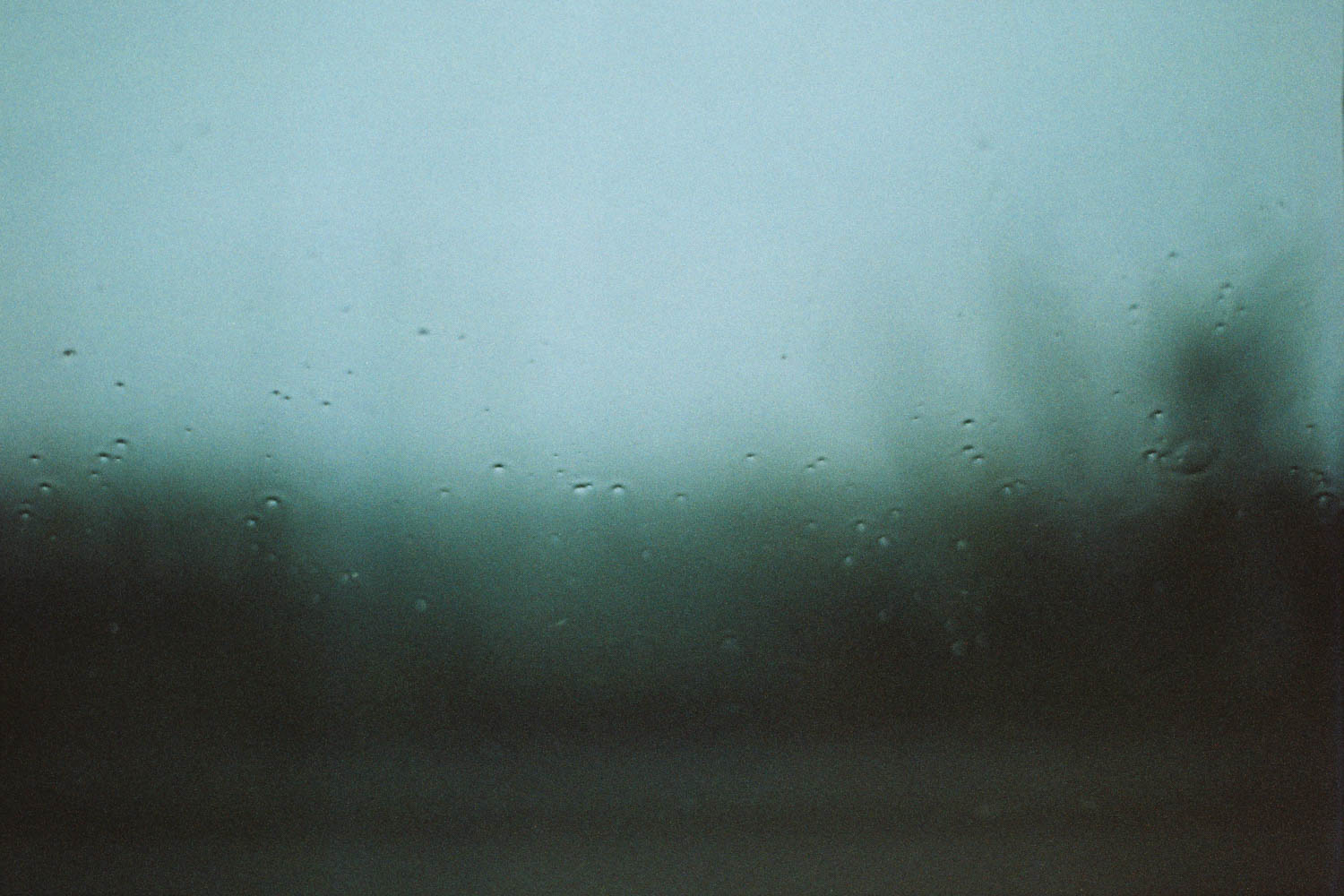 © Birgit Maier